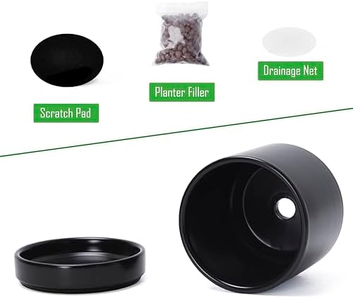 D'vine Dev 4.7 Inch Ceramic Planter Pot, Black, 94-O-B-2 - Image 4