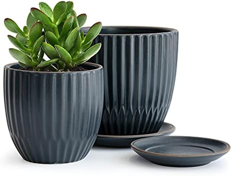 D'vine Dev 2-Pack Stoneware Planter Pots, 4.5/5.8 in, Charcoal Grey, 99-D-3 by DvineDevPlanterPotsandStand