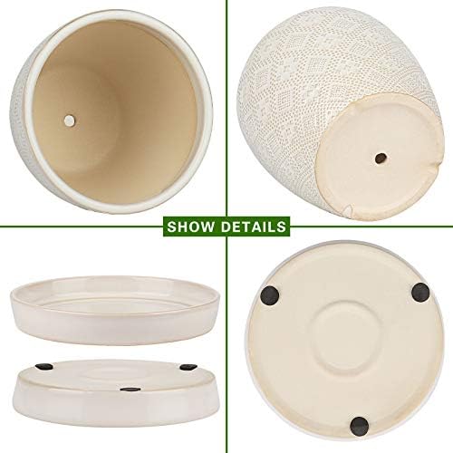 Docrin Ceramic Plant Pots Indoor, 6.6 + 5.5 Inch Planters with Drainage Holes and Saucer for Home/Office - Set of 2 /White - Image 4