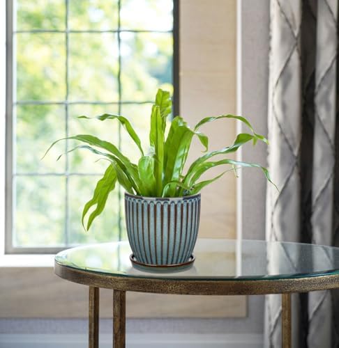 Oairse Ceramic Pots for Indoor Plants, 4.9 +5.7 inch Pots for Plants Set of 2 Marble Blue Plant Pots with Drainage Holes and Saucers Texture Ceramic Planters Indoor Outdoor Flower Pots for Succulent - Image 4