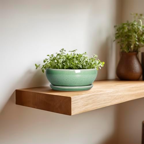 SQOWL Succulent Pots 6 Inch - Ceramic Bonsai Planter for Indoor Plants Outdoor, Shallow Planter with Drainage Hole and Tray, Round Planters for Cactus Flower, Office Decor, Gardening Gifts, Green - Image 4