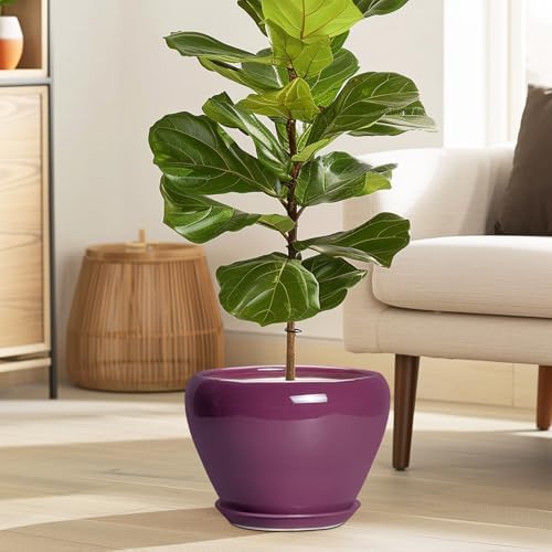Ceramicfor Ceramic Planter - 8 Inch Plant Pot Indoor with Drainage Hole and Saucer, Glaze Decorative Planter, Round Flower Pot, Plant Lover Gifts, Home Garden Office Decor, Purple - Image 2