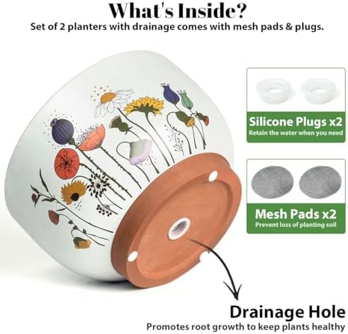 Terracotta Pots, 8+6 Inch Plant Pots, 2 Pcs with Drainage Holes - Image 5