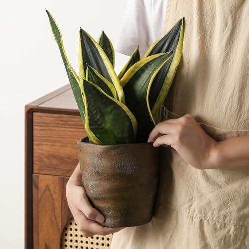 6 Inch Ceramic Planter Set of 2 with Drainage Hole and Saucer for Plants, Indoor-Outdoor Large Irregular Succulent Orchid Flower Pot- Cement Paint, Inner-pots not Larger Than 5 Inch - Image 5