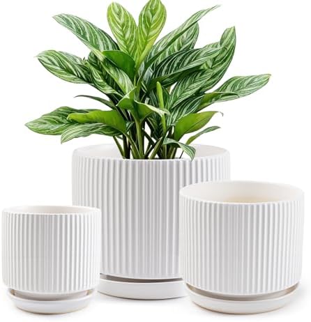 Ceramic-Flower-Pots-Sets-with-Saucer, 5/6/8 inch Small Planters for Indoor Plants with Drainage Hole, White Vertical Stripe Plant Pots for Home Decor, Outdoor Garden Pot For Succulent Cactus Herb by Xoogifae