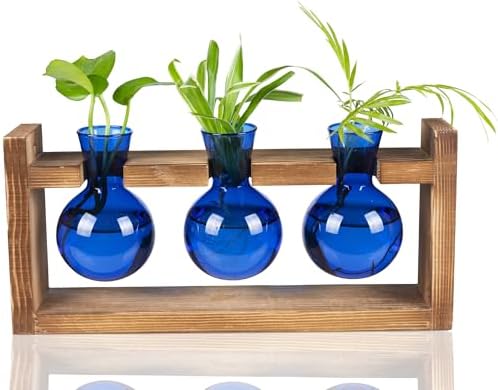 Kingbuy Glass Plant Terrarium Propagation Station - 3 Bulb Colored Vases with Retro Wood Stand Indoor Garden Planter - Wall Mounted & Desktop Decor for Home Kitchen Wedding, Gift for Plant Lover, Blue by Kingbuy
