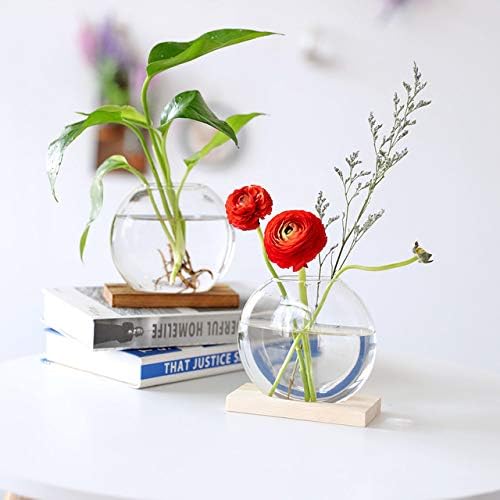 Kingbuy Round Glass Desktop Planter with Wooden Stand - Propagation Vase for Hydroponic Plants, Spider Plants, Pothos in Home Office Decor, 2-Pack, Beige - Image 6