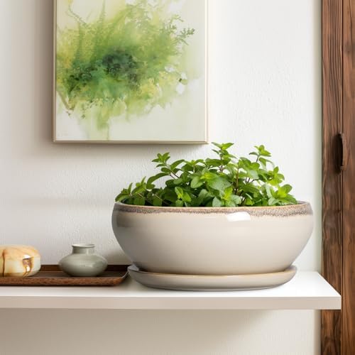 SQOWL Bonsai Pots 12 Inch, Ceramic Succulent Planters with Saucer, Beige - Image 5