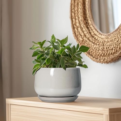 G EPGardening Ceramic Plant Pots 9 Inch, Light Grey - Image 5