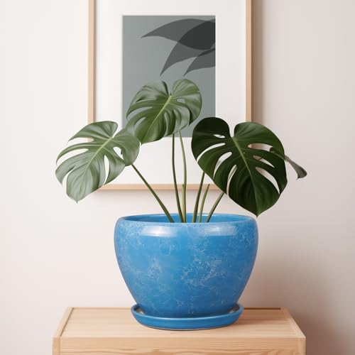 Ceramicfor 10 Inch Planter Pot, Ceramic Pots for Plants with Drainage, Blue - Image 6