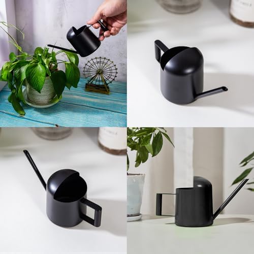 Mini Watering Can Stainless Steel Long Spout 10oz/300ml Small Watering Can for Indoor Desk Plants Outdoor Flowers Succulents Garden Watering Pot Gardening Tool（Black） - Image 6