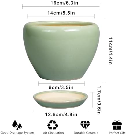 Ceramicfor 6 Inch Plant Pot - Ceramic Planter for Indoor Plants Round Planter Outdoor Plant Pot with Drainage Hole and Saucer Modern Flower Pot for Succulent Garden Green - Image 3