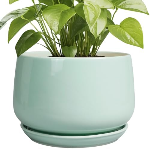 G EPGardening Ceramic Pots for Plants, 9 Inch Ceramic Planter, Green by GEPGardening