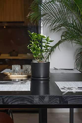 Ekirlin 9 inch Plant Pots,Ceramic Flower Planters Indoor,Modern Succulents Containers with Drain Hole Saucer,Decorate Home,Office & Outdoor (Black) - Image 4