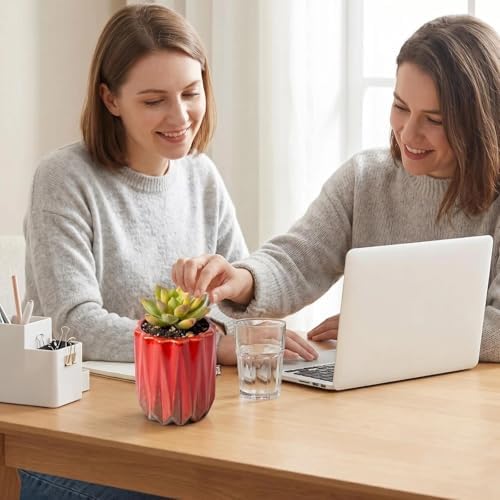 Succulent Plant Pots Ceramic Plant Pots and Drainage Hole Bonsai Planter Small Flower Pots for Indoor Outdoor Use for Home Office Garden Decoration,Plants Not Included (Red B) - Image 5