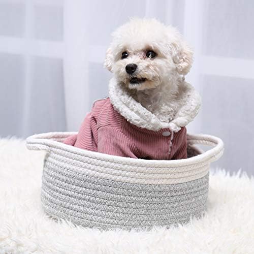 ABenkle Small Basket with Handles, Boho Decorative Rope Woven Dog Cat Toy Storage Bin Shelf Storage Organizer, Easter Christmas Gift Basket, 12"x8"x5" - Image 3