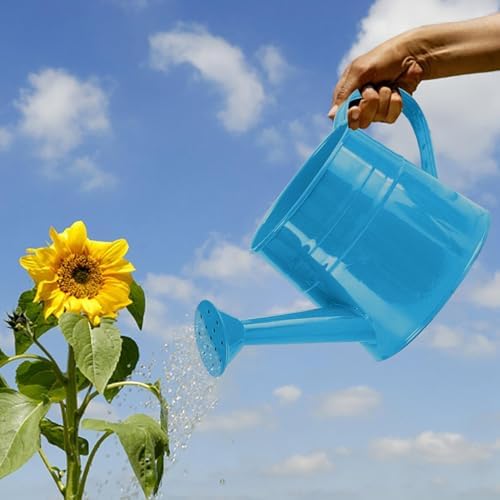 Watering Can Outdoor, 0.25 Gallon Metal Small Capacity Watering Can Indoor Plants with Sprinkler Head,Decorative Lightweight Durable Watering Cans for Garden Lawn Bonsai Greenhouse (Blue) - Image 3