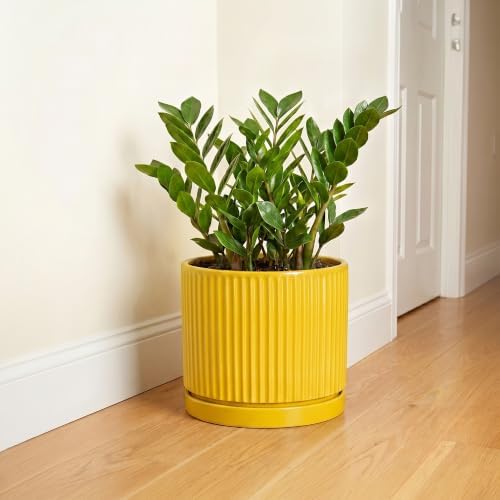 Ceramic Pots for Plants, 10 Inch Plant Pots with Tray, Yellow - Image 6