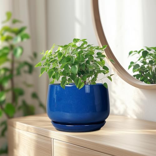 G EPGardening Round Ceramic Plant Pots, 7 Inch Modern Planter, Blue - Image 6
