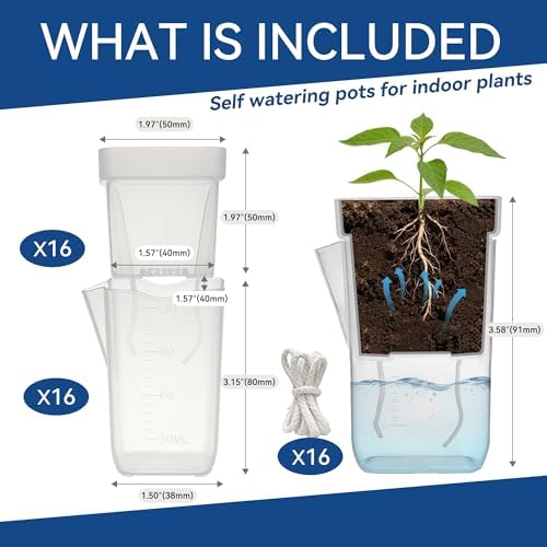 16 Pack 2" Mini Self Watering Pots Clear Deep Square Planters - Image 2