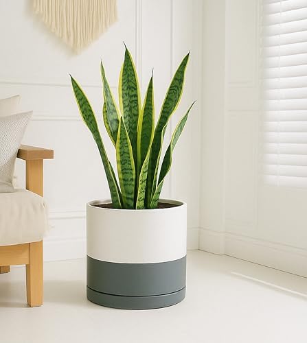 D'vine Dev 12 Inch Ceramic Planter Pot, White/Grey, 94-O-F-6 - Image 6