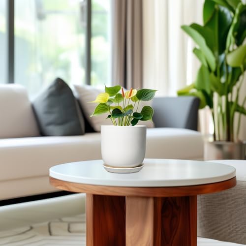 Indoor Plant Pot 5 Inch - Round Ceramic Planter for Succulent Plants with Drainage Hole and Saucer, Modern Home Decor, White - Image 4