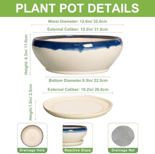 SQOWL Bonsai Tree Pots, 12 Inch Ceramic Succulent Planters, Blue-Beige - Image 2