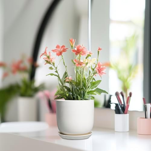 Indoor Plant Pot 5 Inch - Round Ceramic Planter for Succulent Plants with Drainage Hole and Saucer, Modern Home Decor, White - Image 6
