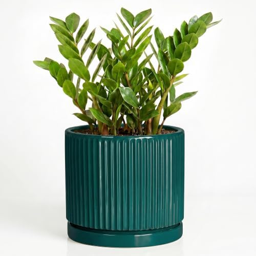 Ceramic Flower Pots, 10 Inch Planter with Saucer, Blackish Green by Unknown