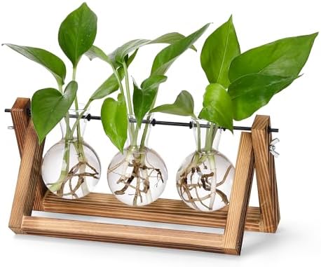YIBOT Plant Propagation Stations with Wooden Stand & 3 Glass Bulb Vases by YIBOT