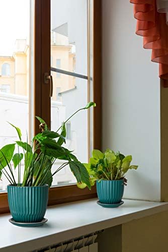 D'vine Dev 2-Pack Stoneware Planter Pots, 4.5/5.8 in, Deep Teal, 99-D-4 - Image 7