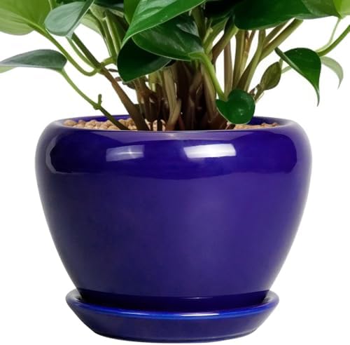 Ceramicfor 6 Inch Plant Pot - Ceramic Pots for Plants Succulent Pot with Drainage Hole and Saucer Round Planter Outdoor Flower Pot for Herb Snake Plants Blue by Ceramicfor