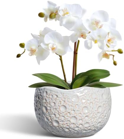 Ceramic Plant Pots 6 Inch, Ceramic Orchid Pot with Drainage, Grey by Thirtypot