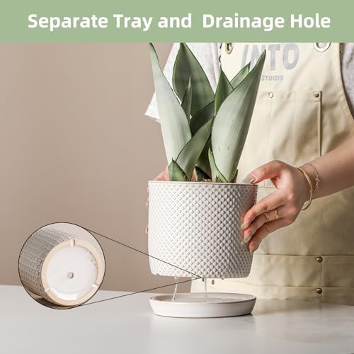 5.8 Inch Ceramic Plant Pot with Drainage Hole & Separate Saucer - Image 3
