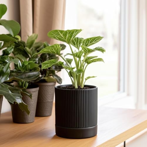 HERDUK Small Plant Pots, 4 Inch Pots for Indoor Plants, Modern Minimalist Ceramic Plant Pots with Drainage Hole & Saucer, Matte Black Set of 2 - Image 4