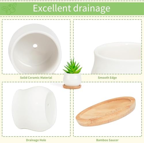 SHECIPIN 24 Pcs 2.5 Inch Small Succulent Pots with Drainage & Bamboo Trays - Assorted Small Succulent Planters Bulk for Home Office Garden Decor - Image 5