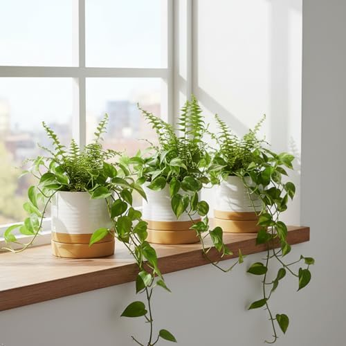 HASENSE Small Plant Pots, 4.6 Inch Ceramic Flower Pots with Two-Tone Glaze Design, Indoor Outdoor Planter with Drainage Hole and Saucer, Cute Tabletop Decor, 4 Pack, White-Brown - Image 7