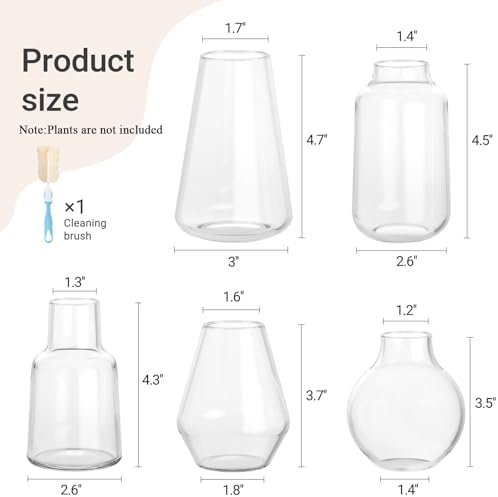 Mkono Propagation Vases 5 Glass Jars Station for Hydroponic Plants, Clear - Image 5