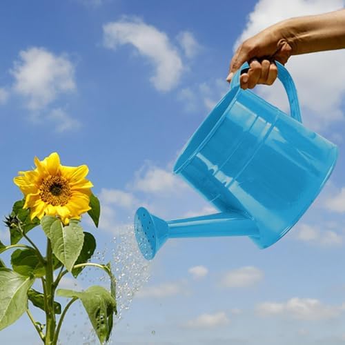 Watering Can Gardening Tool Accessories, Sprinkling Can 1L Metal Flower Garden Watering Can for Outdoor Indoor Plants Lawn Garden (Blue) - Image 2