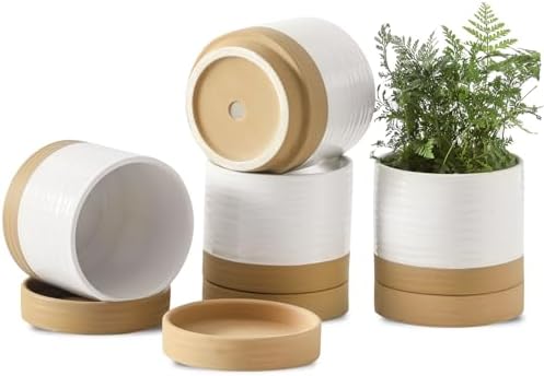 HASENSE Small Plant Pots, 4.6 Inch Ceramic Flower Pots with Two-Tone Glaze Design, Indoor Outdoor Planter with Drainage Hole and Saucer, Cute Tabletop Decor, 4 Pack, White-Brown by Hasense