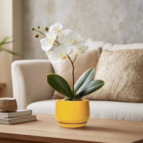 G EPGardening 4 Inch Ceramic Planter - Succulent Pots for Plants Indoor Outdoor, Small Plant Pots with Drainage Hole & Saucer, Round Planter, Modern Flower Pot, Home Decor, Plant Lover Gift, Yellow - Image 5