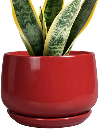 G EPGardening Ceramic Planter 7 Inch - Flower Pots for Indoor Plants, Round Planter with Drainage and Ceramic Tray, Modern Plant Pot, Bathroom Decor, Teacher Gifts, Red by GEPGardening