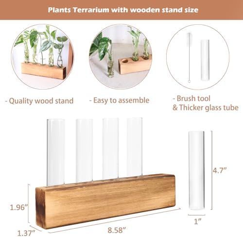 Plant Propagation Station, Plants Propagation Tubes - Image 5