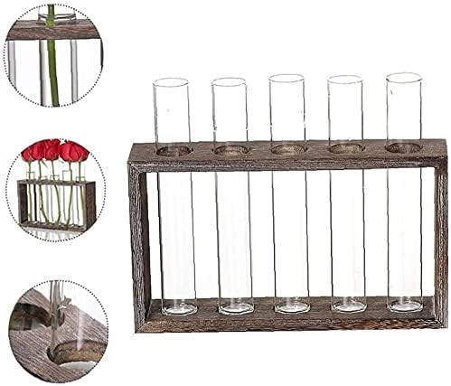 Tube Shape Glass Vase with 3 or 5 Holes Wood Stand Decoration Flower Vontainer for Hydroponics Plant Transparent Flower Arrangement Vase-5 Tube - Image 7