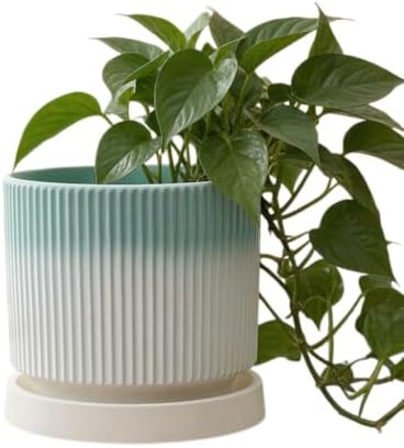 Cuteforyou 5.1 Inch Modern Textured Ceramic Succulent Planter Pot – Perfect for Small Plants, Cacti & Desk Decor – Lightweight & Durable，Blue by Cuteforyou