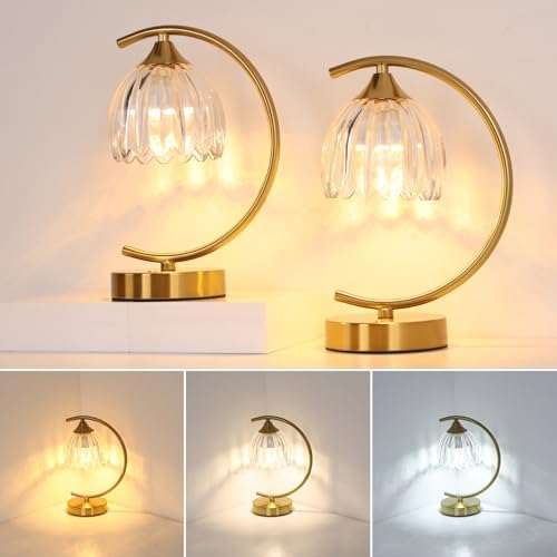 Shenmoyl Set of 2 Tulip Table Lamp, 5200mAh Cordless Touch Control Table Lamp with 3 Color Temps & Stepless Dimming, Rechargeable Battery Table Lamp for Living Room, Bedroom, Shelf (Transparent Tulip) by Shenmoyl