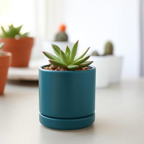 D'vine Dev 3.5 Inch Ceramic Planter Pot, Teal, 94-O-A-9 - Image 5
