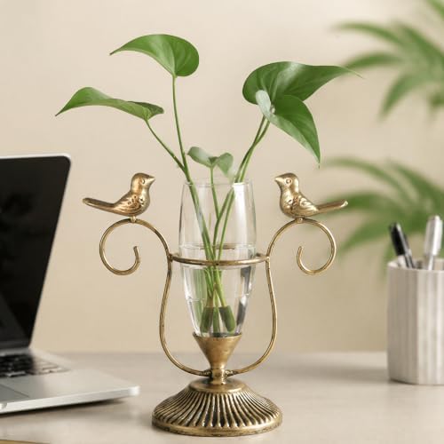 Desktop Hydroponic Glass Propagation Vases for Plants, 8.26"×7.9" - Image 7