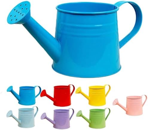 Small Watering Can, 1L Metal Flower Garden Watering Can, Gardening Tool Accessories for Outdoor Indoor Plants Lawn (Blue) by Unknown