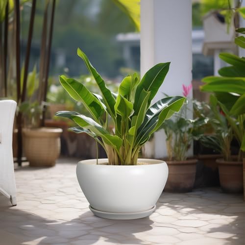 Ceramicfor Planter for Indoor Plants 13 Inch - Ceramic Plant Pot with Drainage Hole and Saucer Decorative Round Large Planter Pot for Plants Outdoor Flower Pot for Room Decor White - Image 4